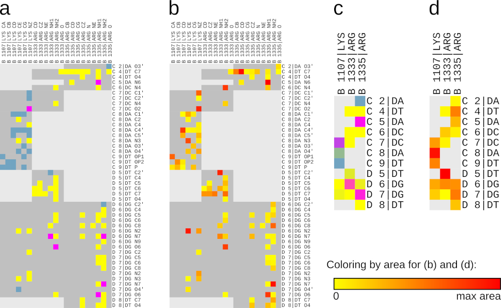 Contact maps of the protein-DNA interface shown in Figure 2c, generated using Voronota-LT. (a) Atom-level contact map of the protein-DNA interface, with plot points colored to match the contacts shown in Figure 2c; (b) Atom-level contact map of the protein-DNA interface, with plot points colored using a yellow-to-red gradient corresponding to values from zero to the maximum observed contact area; (c) Residue-level contact map summarizing the protein-DNA interface, with plot points colored using area-weighted average colors derived from panel (a); (d) Residue-level contact map summarizing the protein-DNA interface, with plot points colored using a yellow-to-red gradient corresponding to values from zero to the maximum observed contact area.